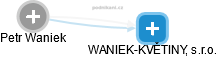 Petr Waniek - Vizualizace  propojení osoby a firem v obchodním rejstříku