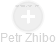 Petr Zhibo - Vizualizace  propojení osoby a firem v obchodním rejstříku