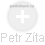 Petr Zíta - Vizualizace  propojení osoby a firem v obchodním rejstříku