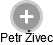 Petr Živec - Vizualizace  propojení osoby a firem v obchodním rejstříku