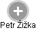 Petr Žižka - Vizualizace  propojení osoby a firem v obchodním rejstříku