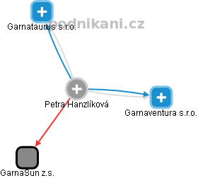Petra Hanzlíková - Vizualizace  propojení osoby a firem v obchodním rejstříku