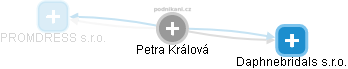 Petra Králová - Vizualizace  propojení osoby a firem v obchodním rejstříku