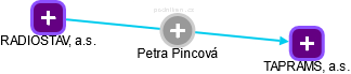 Petra Pincová - Vizualizace  propojení osoby a firem v obchodním rejstříku