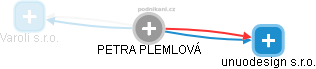 PETRA PLEMLOVÁ - Vizualizace  propojení osoby a firem v obchodním rejstříku