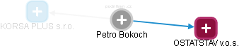 Petro Bokoch - Vizualizace  propojení osoby a firem v obchodním rejstříku