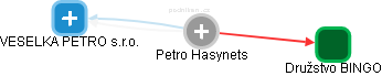 Petro Hasynets - Vizualizace  propojení osoby a firem v obchodním rejstříku