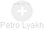 Petro Lyakh - Vizualizace  propojení osoby a firem v obchodním rejstříku