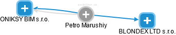 Petro Marushiy - Vizualizace  propojení osoby a firem v obchodním rejstříku