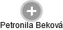  Petrnila B. - Vizualizace  propojení osoby a firem v obchodním rejstříku