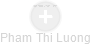 Pham Thi Luong - Vizualizace  propojení osoby a firem v obchodním rejstříku