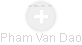 Pham Van Dao - Vizualizace  propojení osoby a firem v obchodním rejstříku