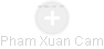Pham Xuan Cam - Vizualizace  propojení osoby a firem v obchodním rejstříku