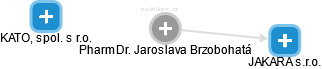  Jaroslava B. - Vizualizace  propojení osoby a firem v obchodním rejstříku