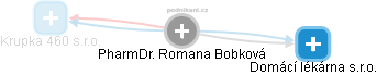 Romana Bobková - Vizualizace  propojení osoby a firem v obchodním rejstříku
