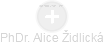 Alice Židlická - Vizualizace  propojení osoby a firem v obchodním rejstříku