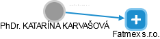  Karvašová K. - Vizualizace  propojení osoby a firem v obchodním rejstříku