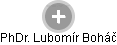  Lubomír B. - Vizualizace  propojení osoby a firem v obchodním rejstříku