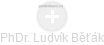 Ludvík Běťák - Vizualizace  propojení osoby a firem v obchodním rejstříku