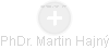Martin Hajný - Vizualizace  propojení osoby a firem v obchodním rejstříku