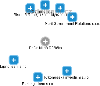  Růžička M. - Vizualizace  propojení osoby a firem v obchodním rejstříku