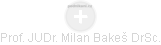 Milan Bakeš - Vizualizace  propojení osoby a firem v obchodním rejstříku
