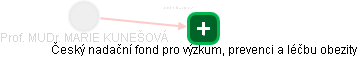  Kunešová M. - Vizualizace  propojení osoby a firem v obchodním rejstříku