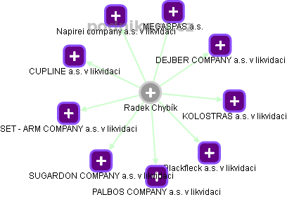 Radek Chybík - Vizualizace  propojení osoby a firem v obchodním rejstříku