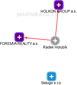 Radek Holubík - Vizualizace  propojení osoby a firem v obchodním rejstříku