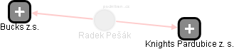 Radek Pešák - Vizualizace  propojení osoby a firem v obchodním rejstříku
