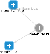 Radek Peška - Vizualizace  propojení osoby a firem v obchodním rejstříku