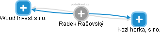 Radek Rašovský - Vizualizace  propojení osoby a firem v obchodním rejstříku