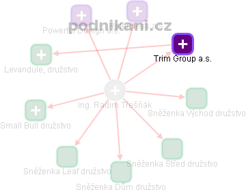 Radim Třešňák - Vizualizace  propojení osoby a firem v obchodním rejstříku