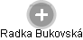 Radka Bukovská - Vizualizace  propojení osoby a firem v obchodním rejstříku