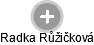 Radka Růžičková - Vizualizace  propojení osoby a firem v obchodním rejstříku