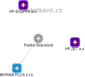 Radka Skácelová - Vizualizace  propojení osoby a firem v obchodním rejstříku