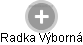 Radka Výborná - Vizualizace  propojení osoby a firem v obchodním rejstříku