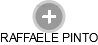 RAFFAELE PINTO - Vizualizace  propojení osoby a firem v obchodním rejstříku