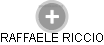 RAFFAELE RICCIO - Vizualizace  propojení osoby a firem v obchodním rejstříku