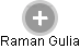Raman Gulia - Vizualizace  propojení osoby a firem v obchodním rejstříku