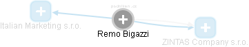Remo Bigazzi - Vizualizace  propojení osoby a firem v obchodním rejstříku