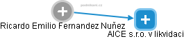 Ricardo Emilio Fernandez Nuňez - Vizualizace  propojení osoby a firem v obchodním rejstříku