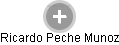 Ricardo Peche Munoz - Vizualizace  propojení osoby a firem v obchodním rejstříku