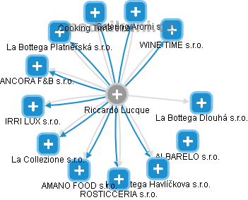 Riccardo Lucque - Vizualizace  propojení osoby a firem v obchodním rejstříku