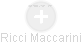 Ricci Maccarini - Vizualizace  propojení osoby a firem v obchodním rejstříku