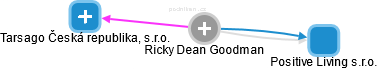 Ricky Dean Goodman - Vizualizace  propojení osoby a firem v obchodním rejstříku