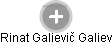 Rinat Galievič Galiev - Vizualizace  propojení osoby a firem v obchodním rejstříku