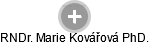 Marie Kovářová - Vizualizace  propojení osoby a firem v obchodním rejstříku