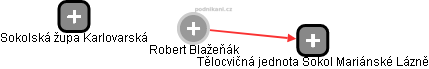 Robert Blažeňák - Vizualizace  propojení osoby a firem v obchodním rejstříku