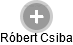 Róbert Csiba - Vizualizace  propojení osoby a firem v obchodním rejstříku